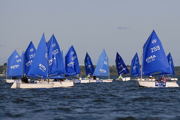 800px-bc582c499kitne_c5bcagle-by-nivea2009