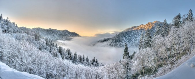 4389981658_62ffd369ce_o