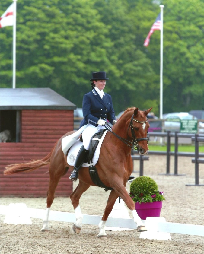 HG Merlin Somerford 2015 GPS
