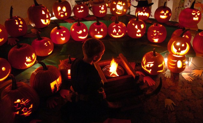 1257022220_e417-1024x621