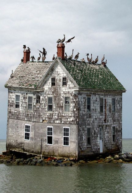 931e551b4cb3e6981098f70e60801564