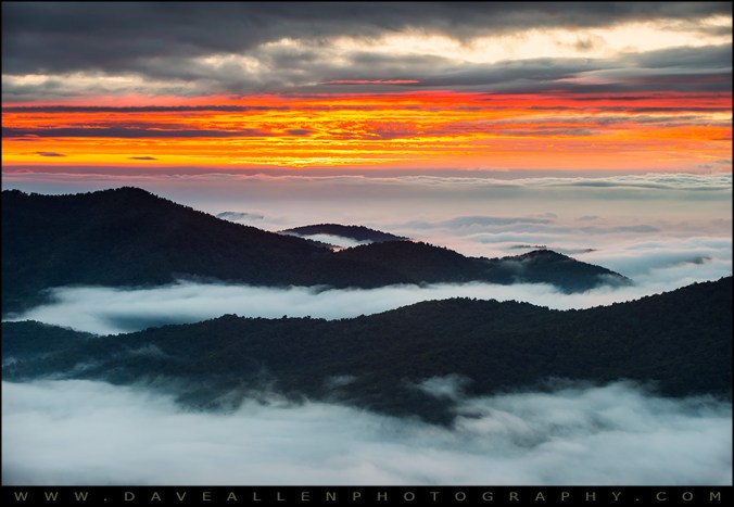 10041487674_fb14e275e5_b