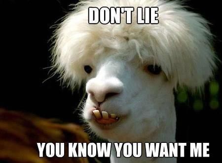 bc758a6bed50c8d3c1c2b7e35c1b38fc