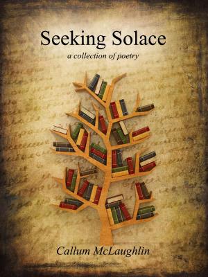 Seeking Solace (ebook, ad version)