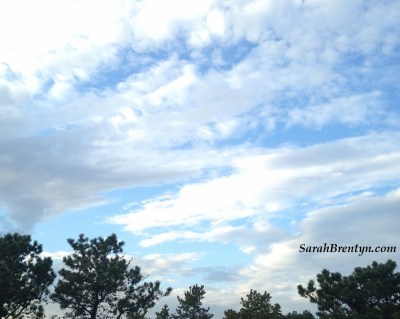 blue-sky-clouds-and-trees-sig