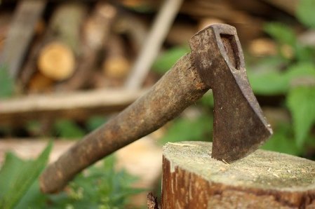 axe stuck in top of sawed off tree stump, chopped wood in background