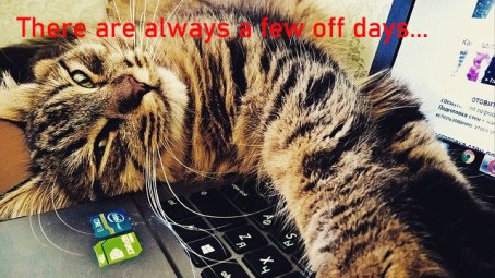 lazy tabby cat lying on side with paws stretched over laptop keyboard